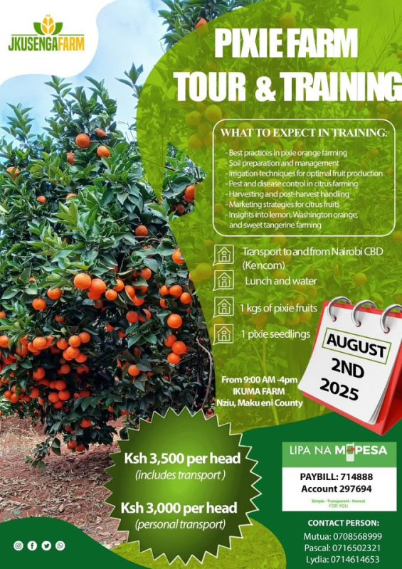 08-02 Pixie Farm Tour & Training at Ikuma Farm, Nziu, Makueni County